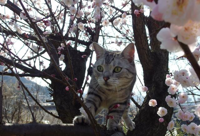 2018/04/20 広島県 O様