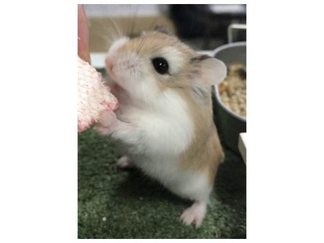 2018/05/05 和歌山県 M様