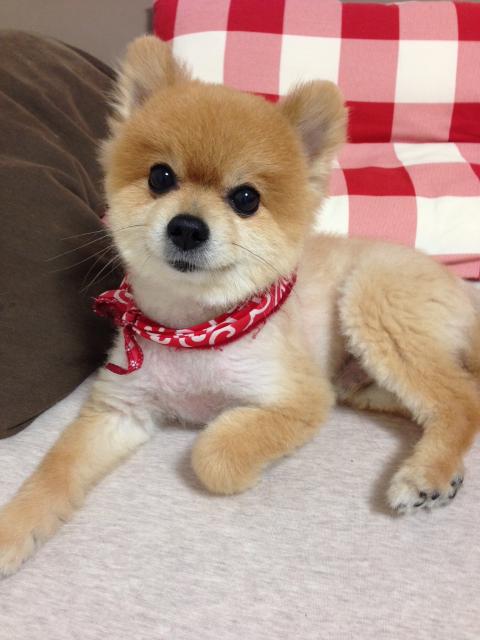 2018/05/24 広島県 Y様