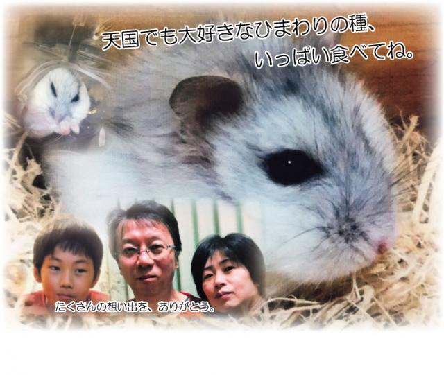 2018/06/07 静岡県 K様