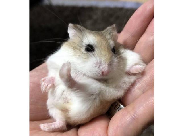 2018/06/29 和歌山 M様