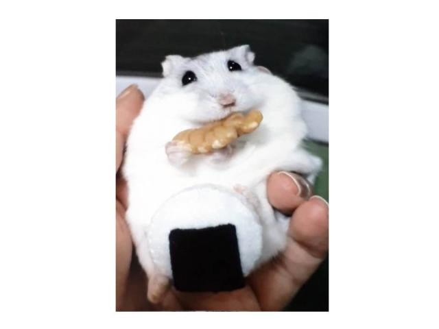 2018/08/16 和歌山県 M様