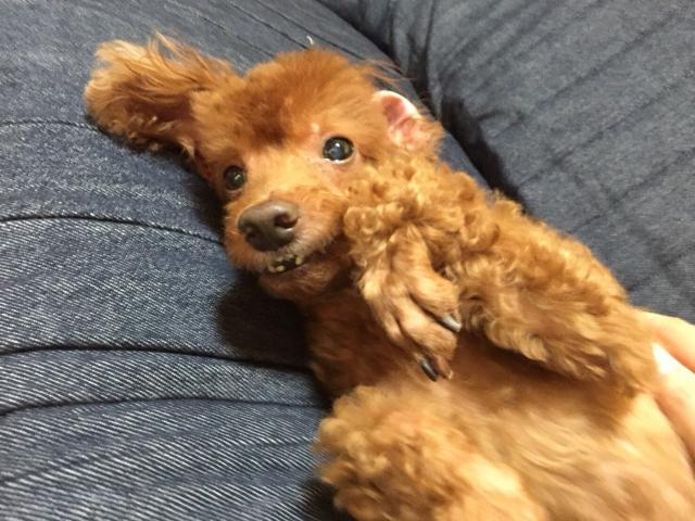 2018/09/24 静岡県 I様