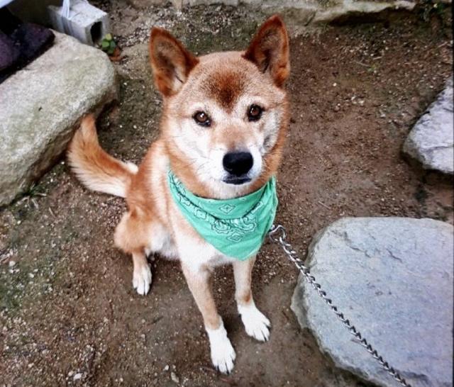 2018/11/07 香川県 山本様