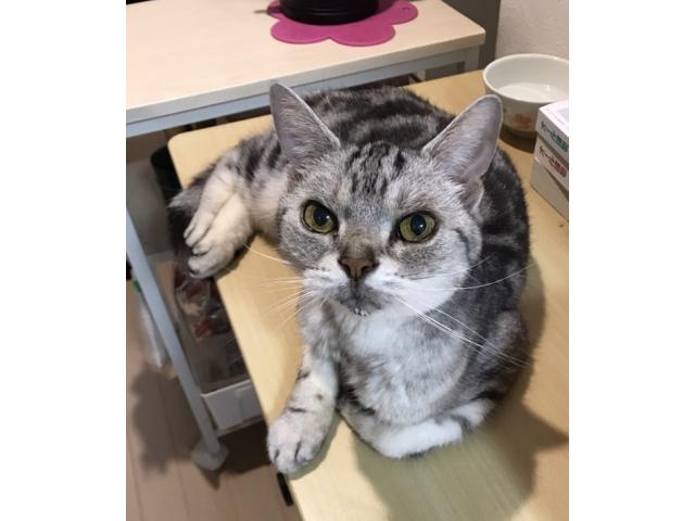 2018/12/05 東京都 吉原様