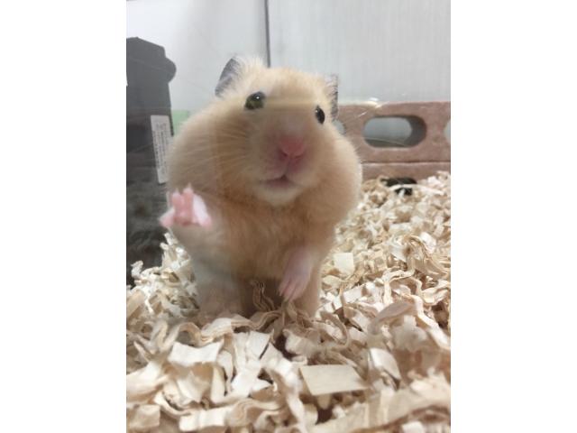 2018/12/23 静岡県 鈴木様