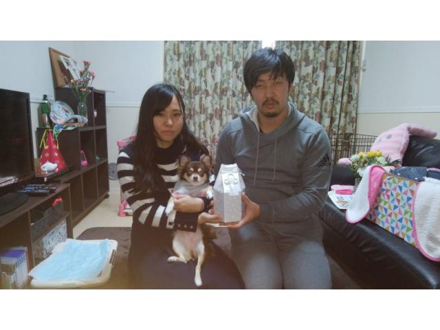 2019/02/06 広島県 田中様