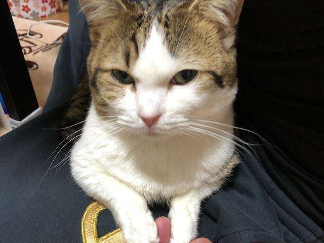 2019/02/05 広島県 I様