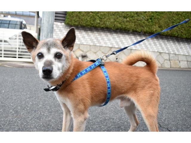 2019/03/09 広島県 前西様