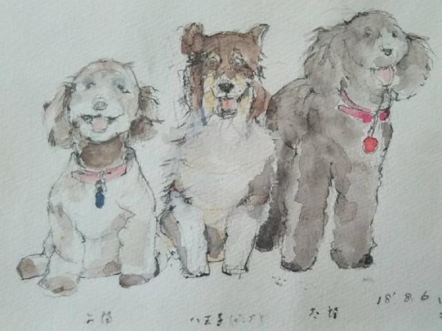 2019/05/23 東京都 押見様