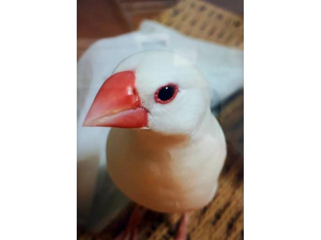 2019/06/30 香川県 兼次様