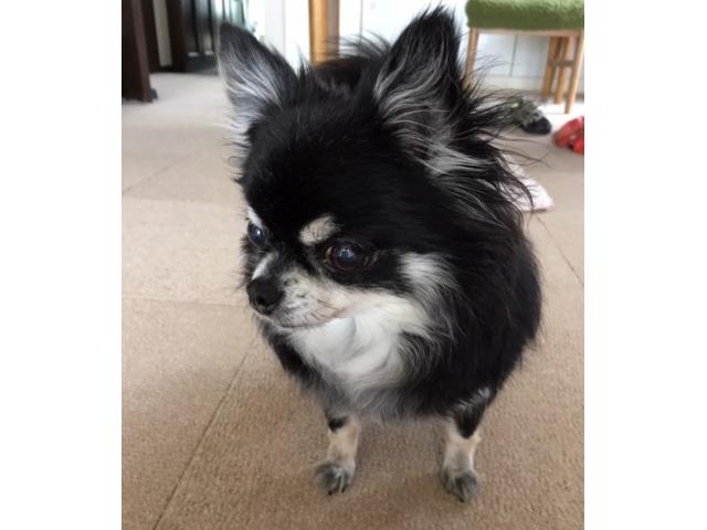2019/06/28 静岡県 大持様