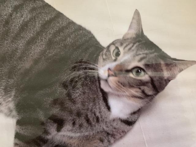 2019/07/03 山口県 仁井様