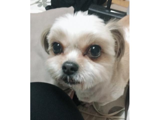 2019/07/05 大阪府 森谷様