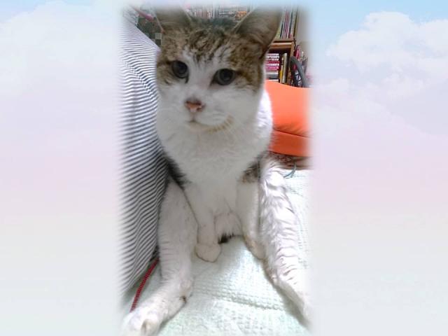 2019/07/26 広島県 T様