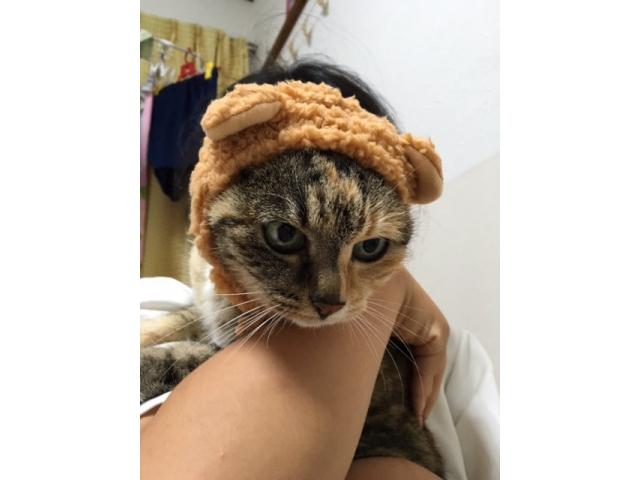 2019/07/30 静岡県 藪様