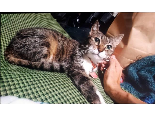 2019/08/02 香川県 長尾様