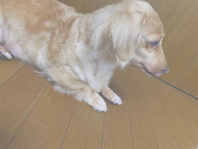 2019/08/15 静岡県 永嶋様