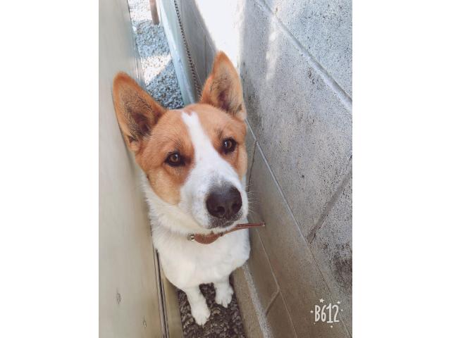 2019/08/24 徳島県 安丸様
