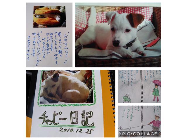 2019/08/25 北海道 宮台様
