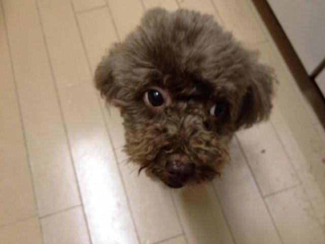 2019/08/29 東京都 横道様