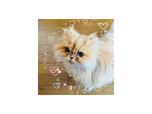2019/09/03 静岡県 大石様