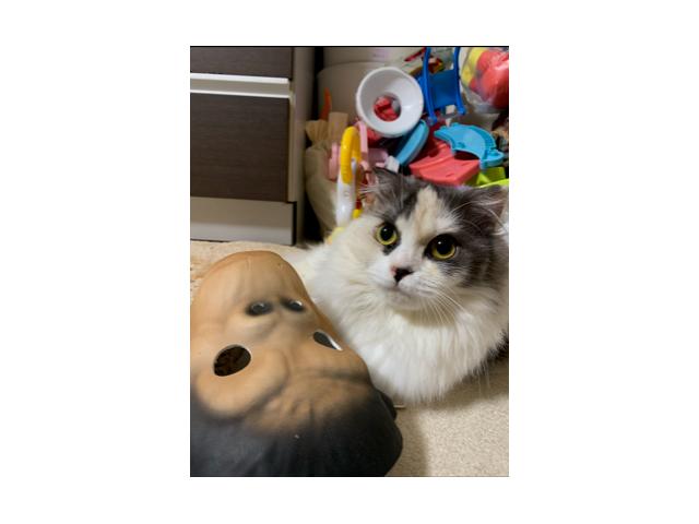 2019/09/09 広島 中峯様