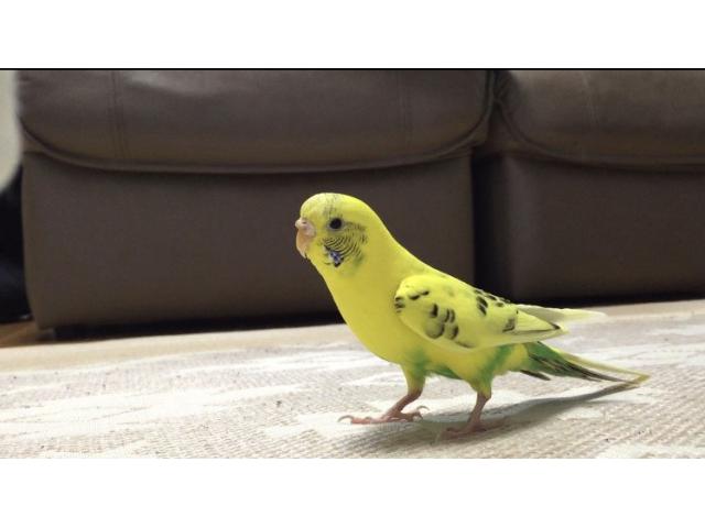 2019/08/24 山口県 阿部様