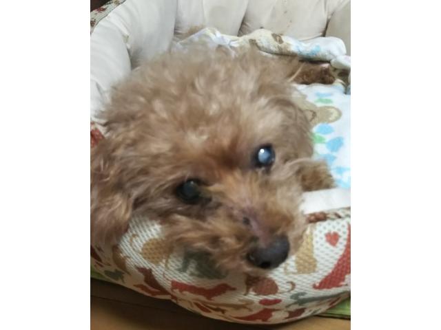 2019/09/14 静岡県 池田様