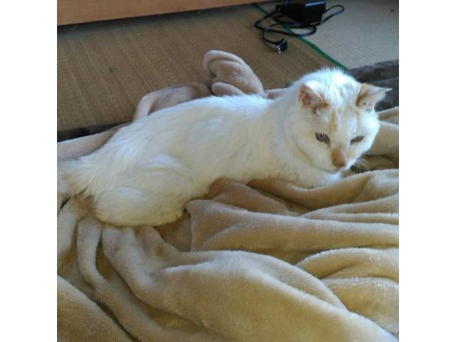 の2019/09/23 新潟県 稲生様