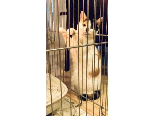 2019/10/02 静岡県 權田様