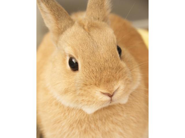2019/10/11 岡山県 庄様