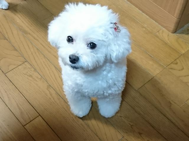 2019/11/02 山口県 今村様