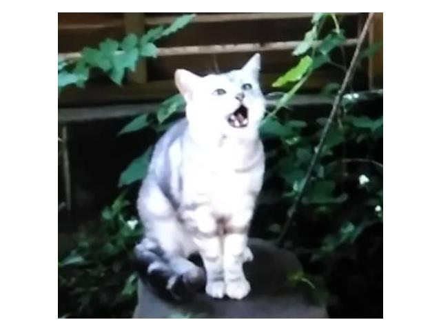 2019/11/07 神奈川県 千代様