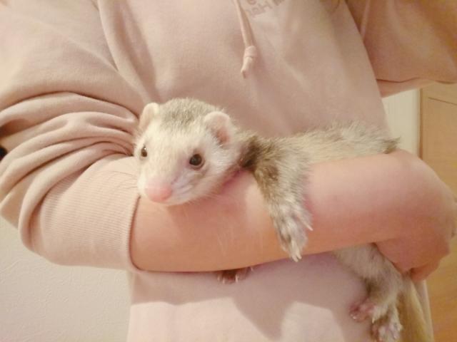 2019/11/12 福島県 政井様