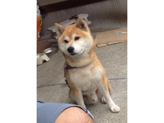 2019/11/13 静岡県 細田様