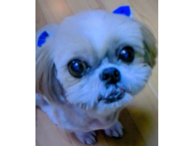 2019/11/22 神奈川県 山口様