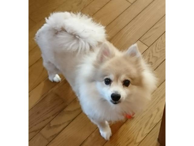 2019/12/03 山口県 今村様