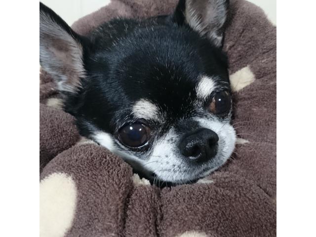 2019/12/22 静岡県 山本様