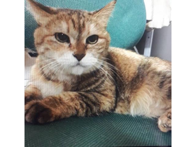 2019/12/23 香川県 宮本様