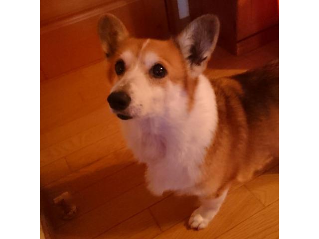 2020/01/15 福島県 江川様