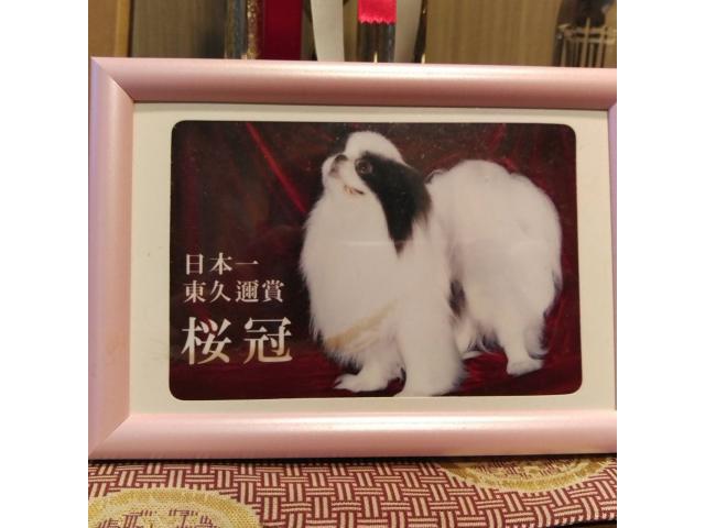 2020/02/16 山口県 渡邉様