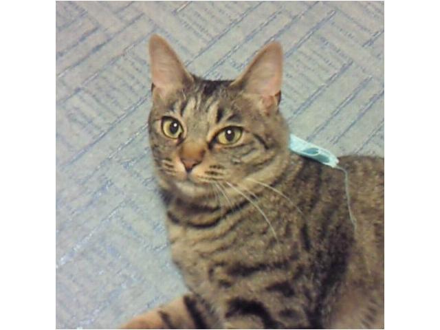 2020/02/07 静岡県 鈴木様