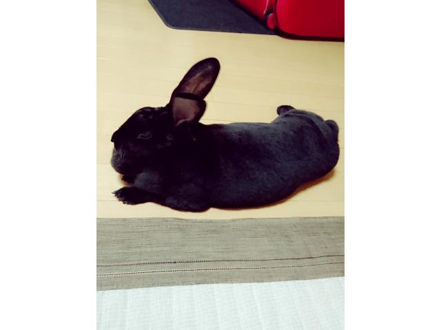 2025/05/14 H様