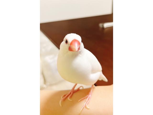 2025/05/28 T様