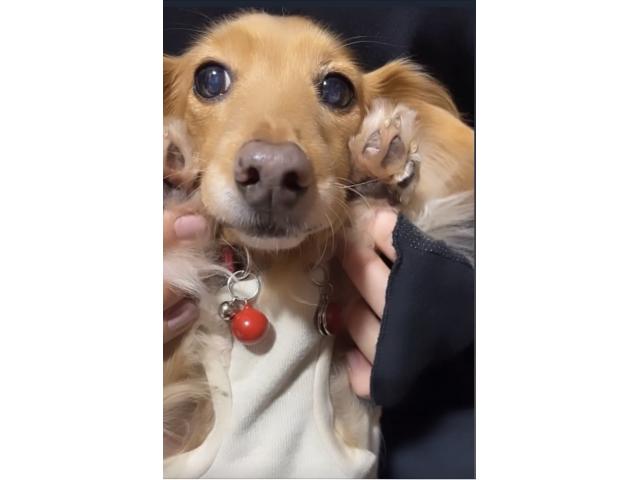 2025/07/18 T様