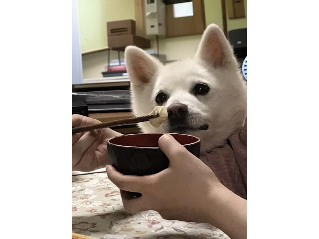 2025/07/19 M様