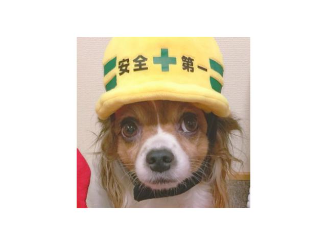2025/07/21 Y様