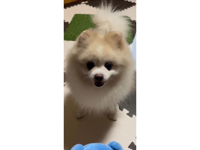 2025/10/02 T様