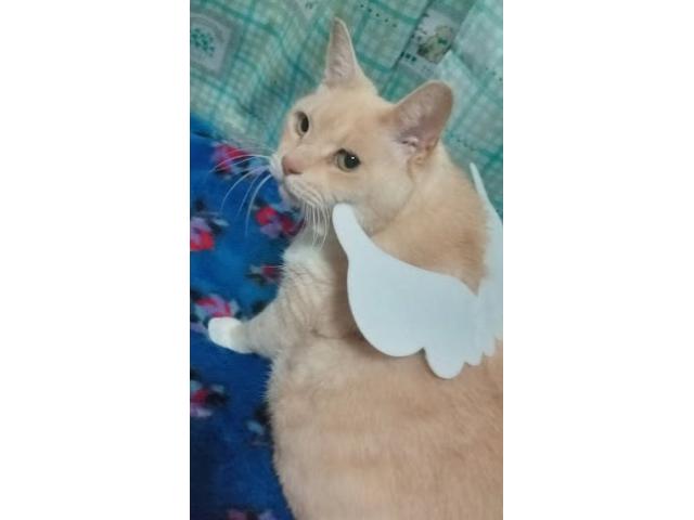 2025/10/06 Y様